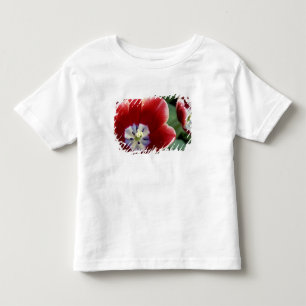 Camiseta De Bebé Países Bajos (alias Holanda), Lisse. Keukenhof 3
