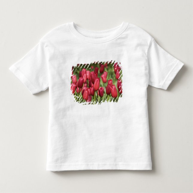 Camiseta De Bebé Países Bajos (alias Holanda), Lisse. Keukenhof 4 (Anverso)