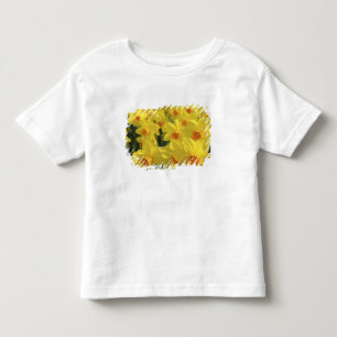 Camiseta De Bebé Países Bajos, Holanda, Lisse, Jardines Keukenhof,