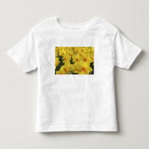 Camiseta De Bebé Países Bajos, Holanda, Lisse, Jardines Keukenhof,
