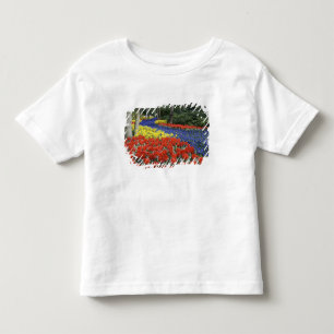Camiseta De Bebé Países Bajos, Holanda, Lisse, Jardines Keukenhof