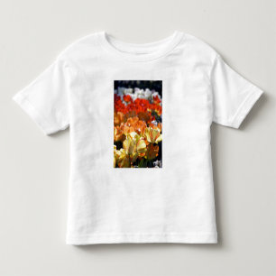 Camiseta De Bebé Países Bajos (Holanda), Lisse. Keukenhof
