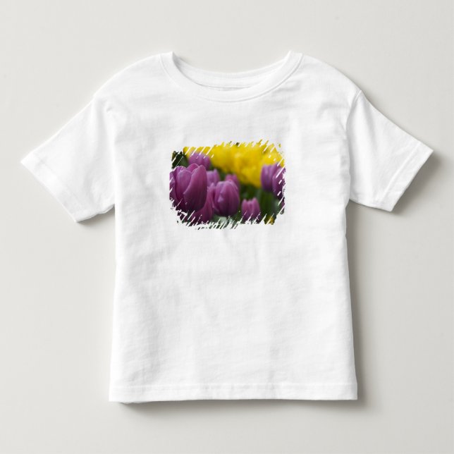 Camiseta De Bebé Países Bajos (Holanda), Lisse. Keukenhof 10 (Anverso)