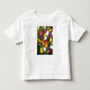 Camiseta De Bebé Países Bajos, Holanda Meridional, Ámsterdam