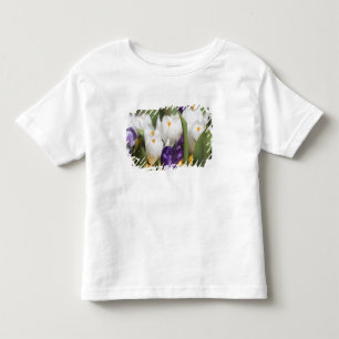 Camiseta De Bebé Países Bajos, Jardines Keukenhoff, Tulipanes.