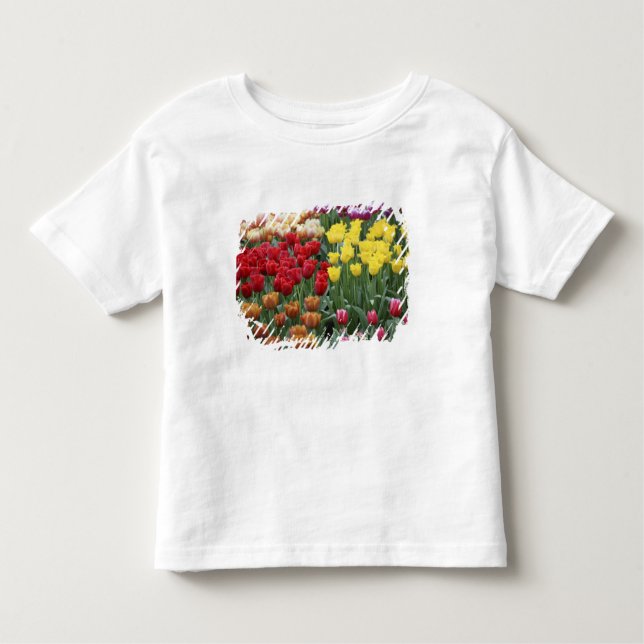Camiseta De Bebé Países Bajos, Jardines Keukenhoff, tulipanes. (Anverso)