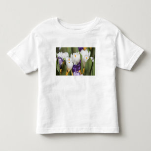 Camiseta De Bebé Países Bajos, Jardines Keukenhoff, Tulipanes.