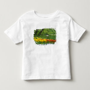 Camiseta De Bebé Países Bajos, Lisse. Cisnes blancos en estanque en
