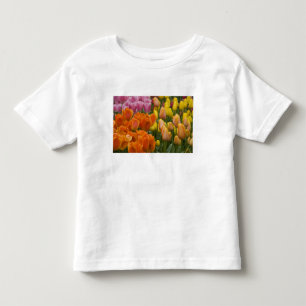 Camiseta De Bebé Países Bajos (también conocido como Holanda), Liss