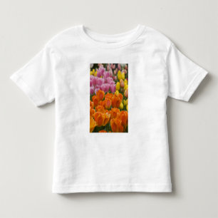 Camiseta De Bebé Países Bajos (también conocido como Holanda), Liss