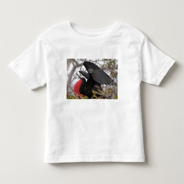 Camiseta De Bebé Pájaro fragata magnífico (Anverso)