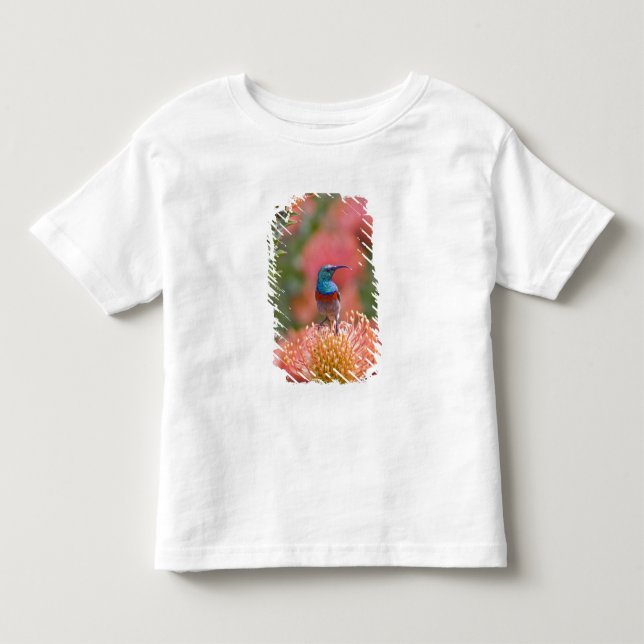 Camiseta De Bebé Pájaro sol de doble collar mayor (Anverso)