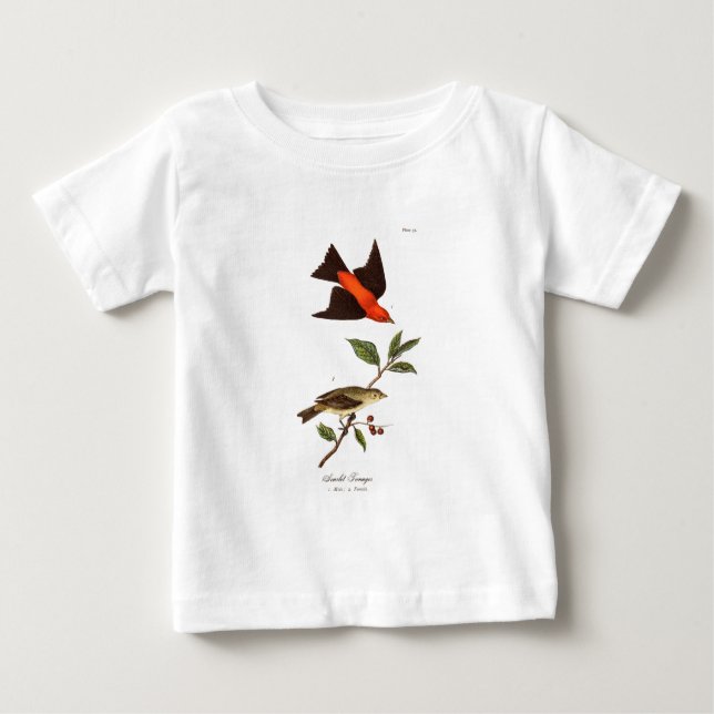Camiseta De Bebé Pájaros del pájaro cantante del pájaro del Tanager (Anverso)