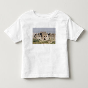Camiseta De Bebé Pakistán, Dina. Puerta de Talaqi vista desde el