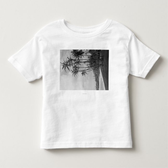 Camiseta De Bebé Palmas de coco - fotografía de las islas hawaianas (Anverso)