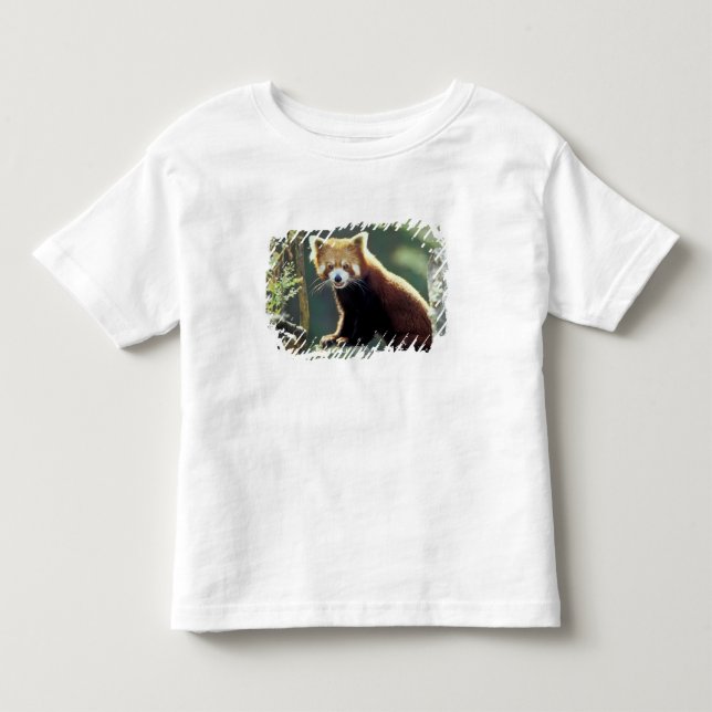 Camiseta De Bebé Panda Rojo Ailurus fulgens) (Anverso)