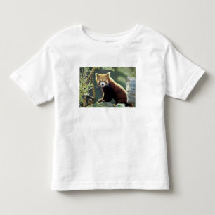 Camiseta De Bebé Panda rojo Ailurus fulgens)