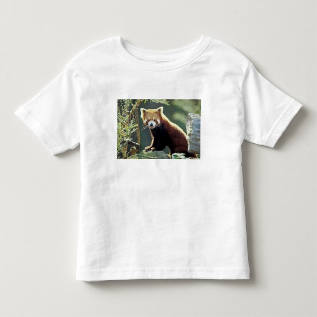 Camiseta De Bebé Panda rojo Ailurus fulgens) (Anverso)