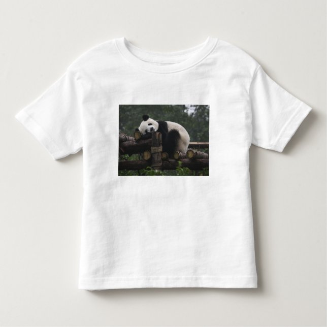 Camiseta De Bebé Pandas gigantes en la gigantesca protección Panda (Anverso)
