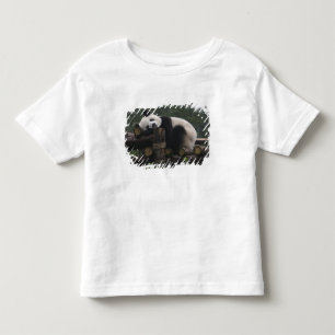 Camiseta De Bebé Pandas gigantes en la gigantesca protección Panda