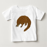 Pangolin
