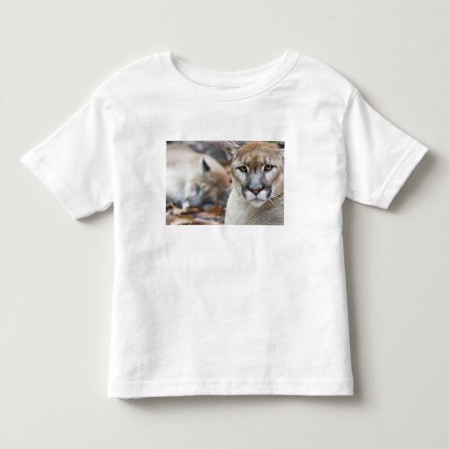 Camiseta De Bebé Pantera de Florida (Anverso)