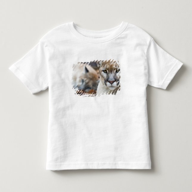 Camiseta De Bebé Pantera de Florida (Anverso)