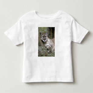 Camiseta De Bebé pantera de Florida, Felis concolor coryi,
