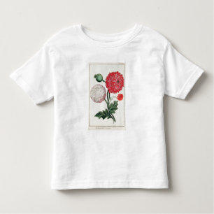 Camiseta De Bebé Papaver - somniferum y rheas del Papaver grabados