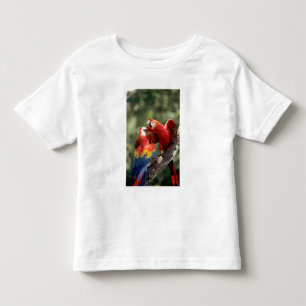 Camiseta De Bebé Pareja de guacamayos escarlata