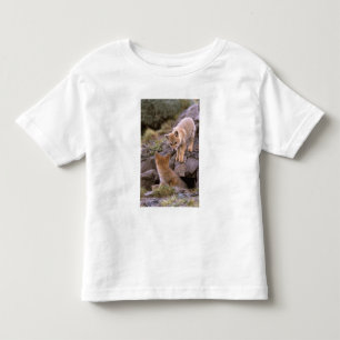 Camiseta De Bebé Pareja de zorro gris sudamericano (Lycalopex grise