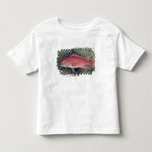 Camiseta De Bebé Pargo rojo, de 'pescados del estado unido