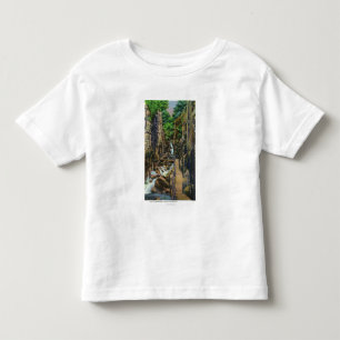 Camiseta De Bebé Parque de estado de la muesca de Franconia