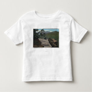 Camiseta De Bebé Parque de la montaña de Denver, CO - lazo salvaje