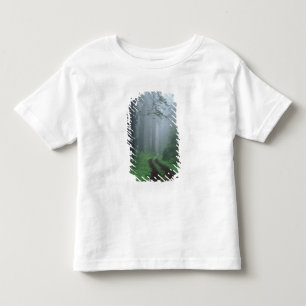 Camiseta De Bebé Parque Estatal Costa Del Norte, California, EE. UU