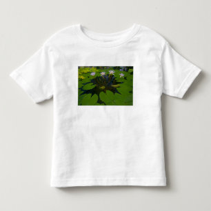 Camiseta De Bebé Parque Golden Gate de San Francisco California y