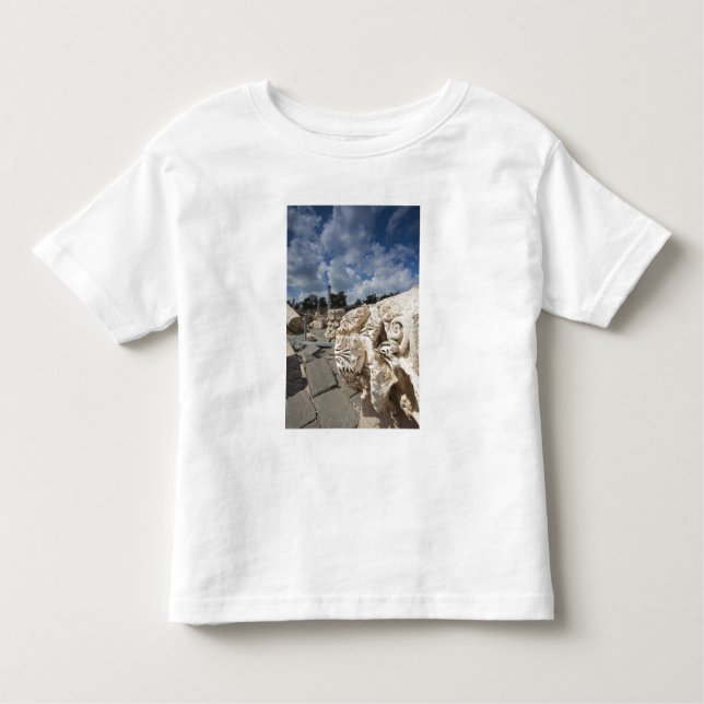 Camiseta De Bebé Parque Nacional Beit She-An, ruinas de la época ro (Anverso)