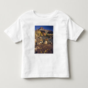 Camiseta De Bebé PARQUE NACIONAL CAPITOL REEF, UT, EE. UU., Algodón