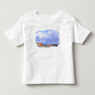 Camiseta De Bebé Parque Nacional Capitol Reef, Utah. EE. UU. Cúmulo