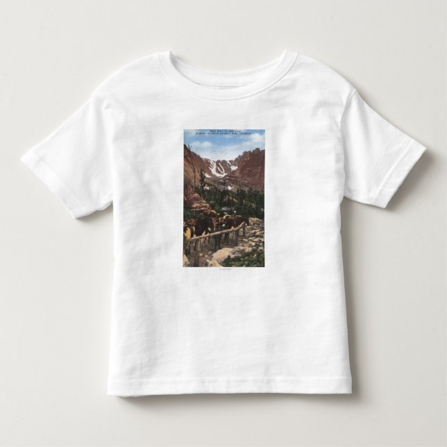 Camiseta De Bebé Parque Nacional de las Montañas Rocosas, CO (Anverso)