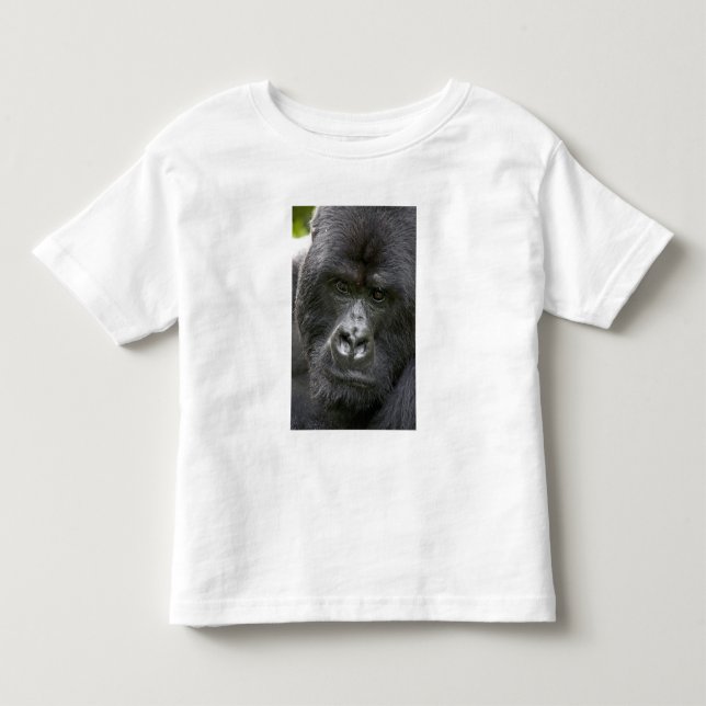 Camiseta De Bebé Parque Nacional de los Volcanes, Ruanda, Gorilas d (Anverso)