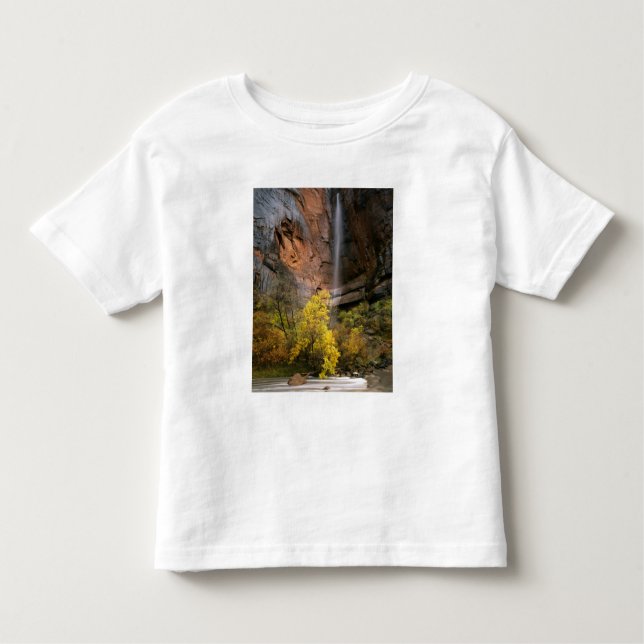 Camiseta De Bebé Parque Nacional de Zion, Utah. EE.UU. Efímero (Anverso)