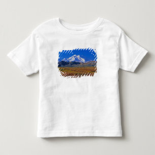 Camiseta De Bebé Parque Nacional Denali Mt. McKinley, Alaska.