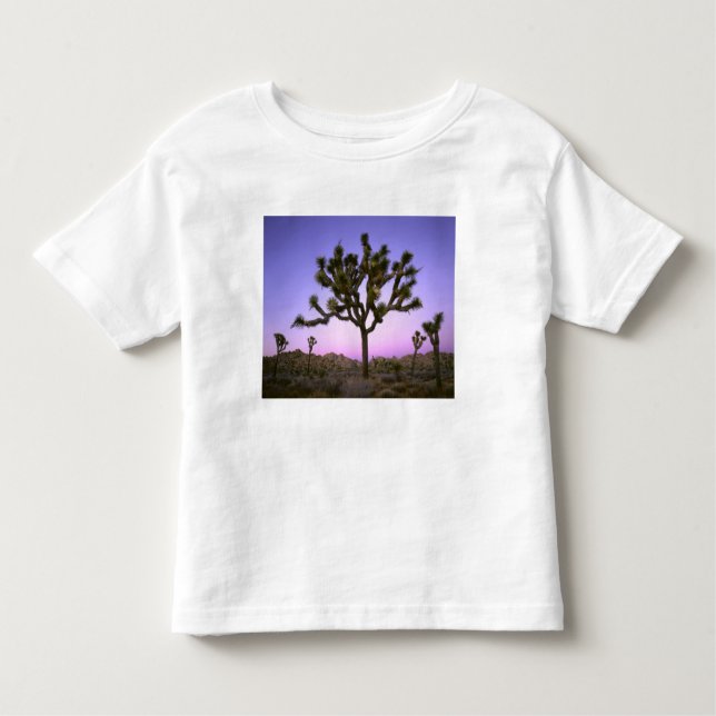 CAMISETA DE BEBÉ PARQUE NACIONAL JOSHUA TREE, CALIFORNIA. EE.UU. (Anverso)