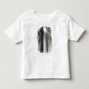 Camiseta De Bebé Parque Nacional Yosemite - Rayos de sol que fluyen