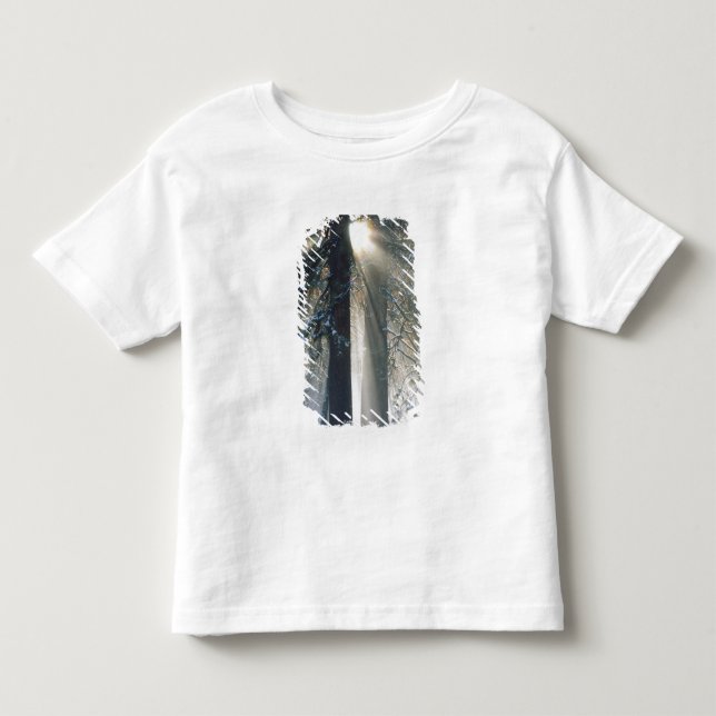 Camiseta De Bebé Parque Nacional Yosemite - Rayos de sol que fluyen (Anverso)