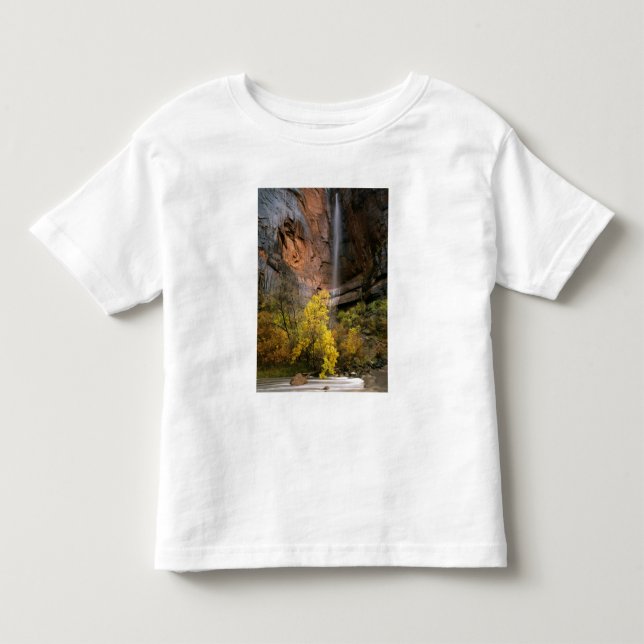 Camiseta De Bebé Parque Nacional Zion, Utah. EE. UU. Efímero (Anverso)