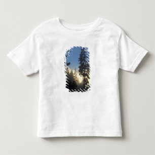 Camiseta De Bebé Parque Stanley, bosques, niebla de capa marina que