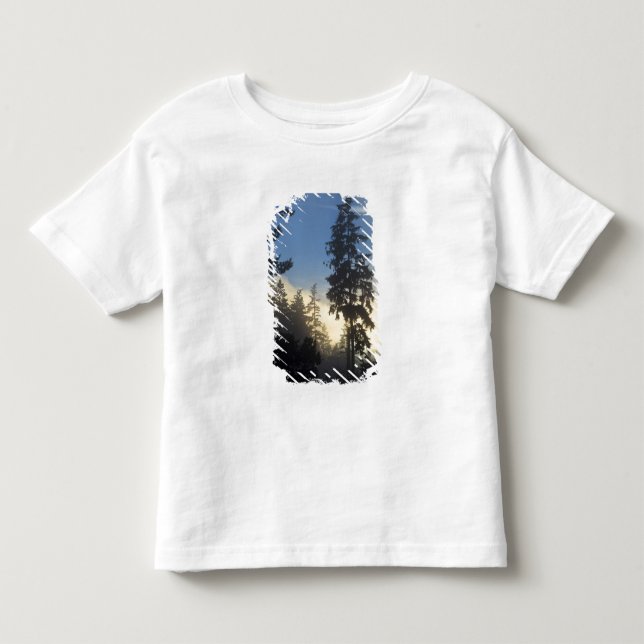 Camiseta De Bebé Parque Stanley, bosques, niebla de capa marina que (Anverso)