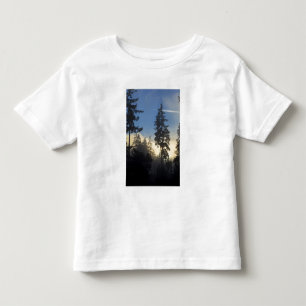 Camiseta De Bebé Parque Stanley, bosques, niebla de capa marina que